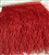 FTR-OST-100-RED.  Ostrich Feather Apple Green - 7 INCH