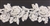 LNS-BBE-246-WHITE.  White Bridal Lace with White Pearls - Sold By the Yard - 2 Inch Wide