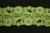 LST-REG-372-LIMEGREEN.  3.0"-wide Stretch Lace