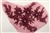 APL-BED-117-BURGUNDY. Beaded Applique with Rhinestones on Net. - Burgundy - 13.5" x 8" - Each $6