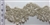 LNS-BBE-204-GOLD. BRIDAL BEADED LACE - 4.5 " WIDE